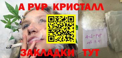 гидра Тверь