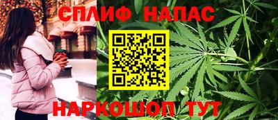 гидра Тверь
